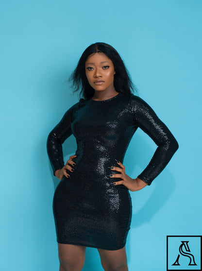 Black Sequin Bodycon Dress Elegant and Stylish