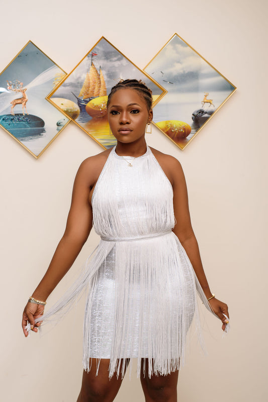 Silver Fringe  Elegant party wear